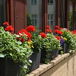 Hotel Hotel Aquino Berlin 3*